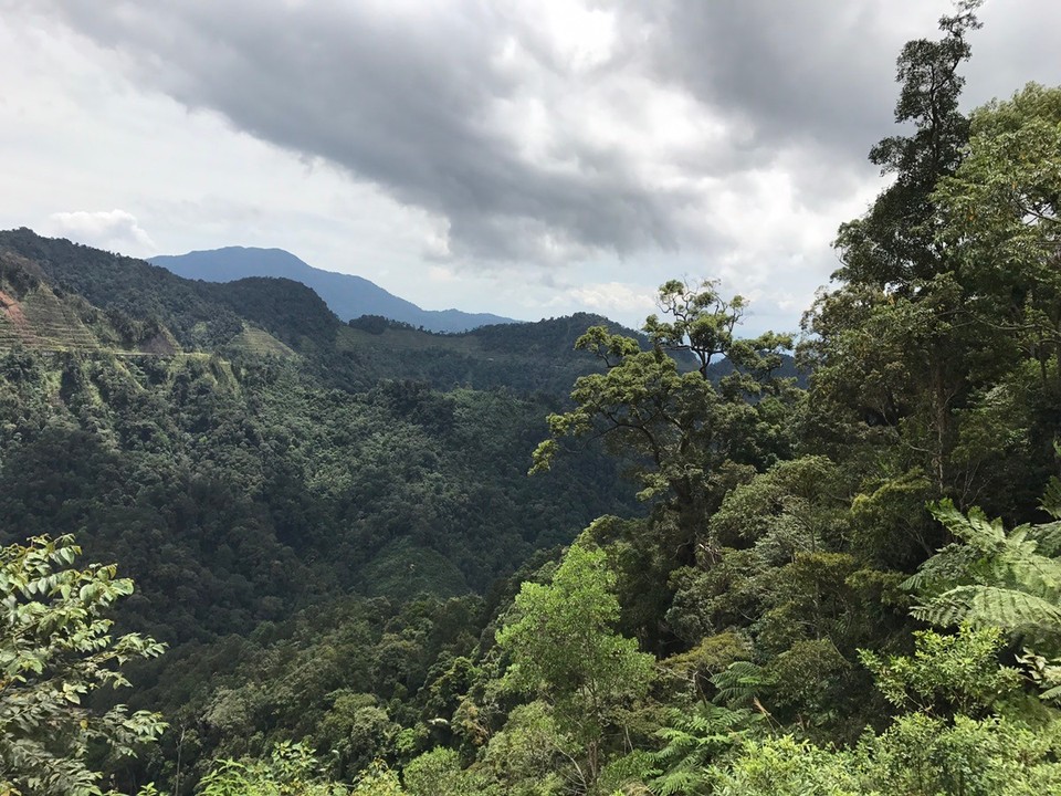 Malaysia - Tanah Rata - Weiter geht es die Serpentinen hinauf zu den Cameron Highlands