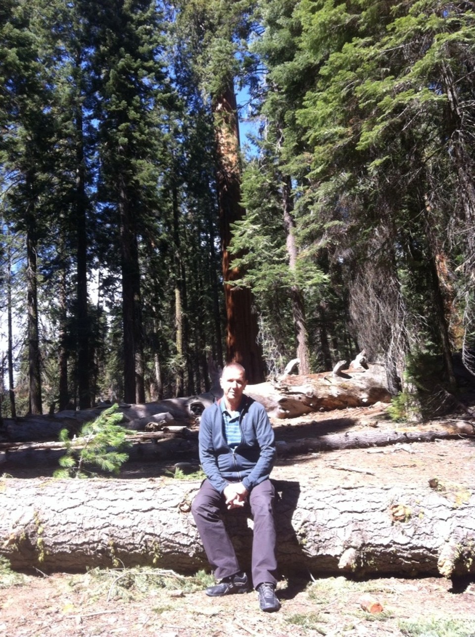 Egyesült Államok - Sequoia National Park - 