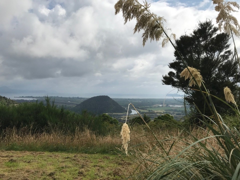 Neuseeland - Clifton - Auf dem Weg zum Nationalpark ein letzter Blick auf den Lake Taupo 