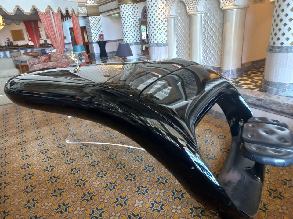 Oman - Maskat - Ein Flügel.