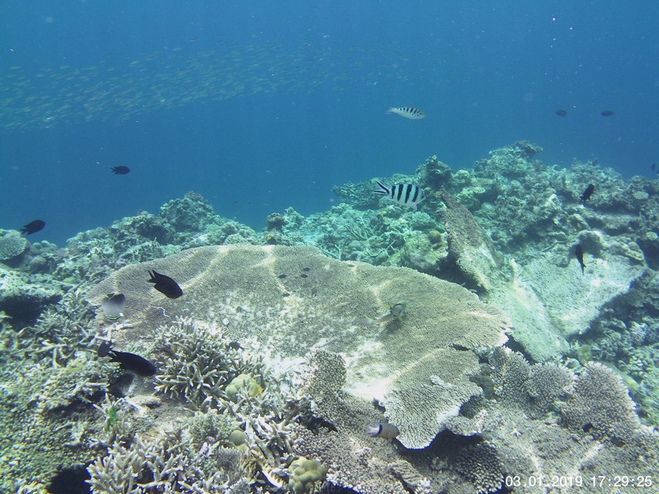 Philippinen - El Nido - 
