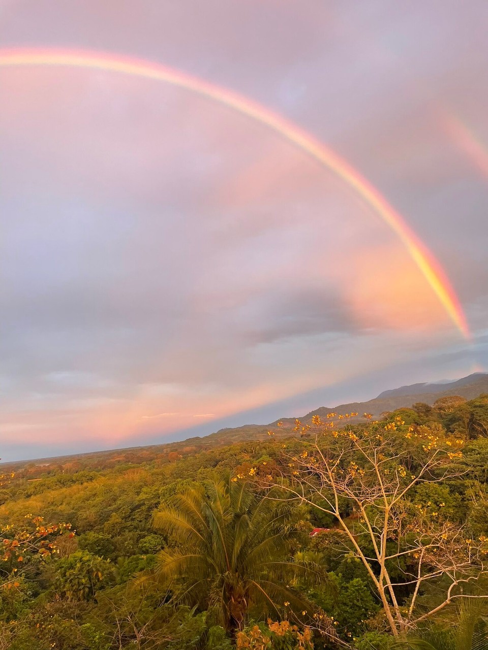 Costa Rica - Palmar Norte - 