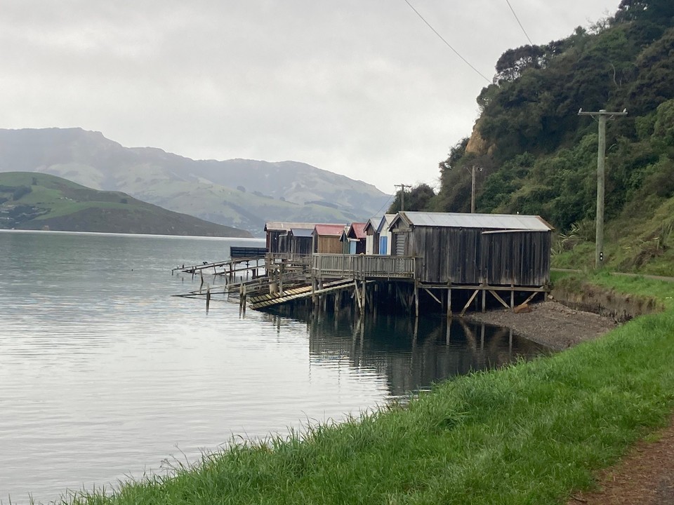 Neuseeland - Duvauchelle - 