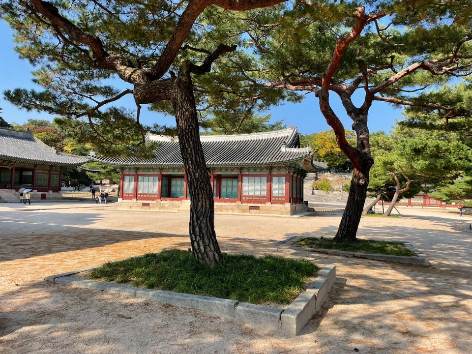 대한민국 - 서울특별시 - 