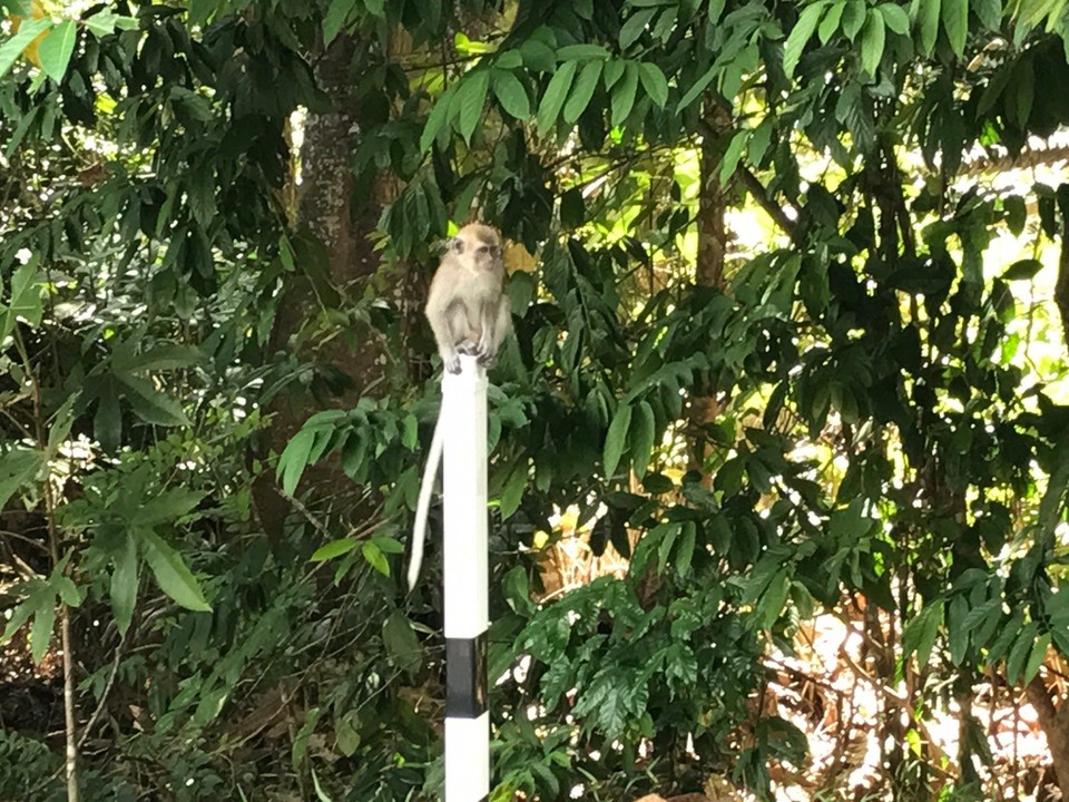 Malaysia - Pulau Pangkor - Malaiische Verkehrswacht 