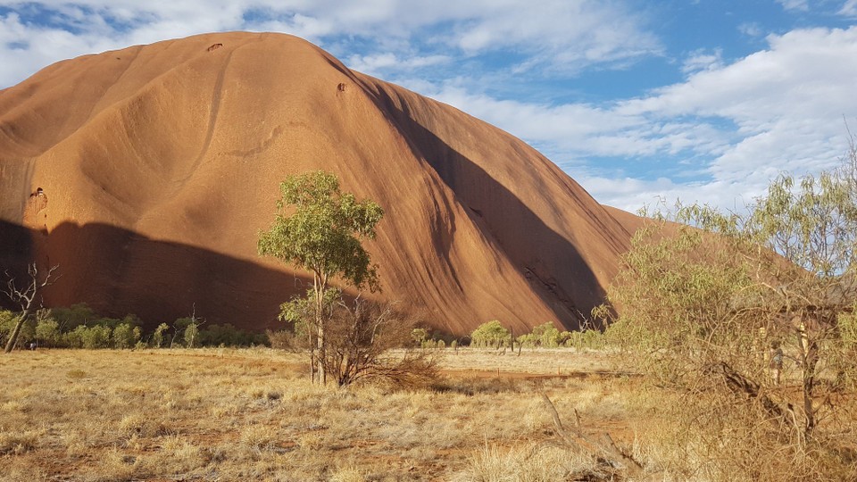 Australien - Petermann - Am Fuße des Uluru