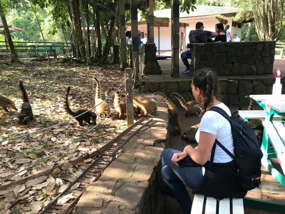 Argentina - Iguazú - So nöch sind die herzige Coaties cho :)