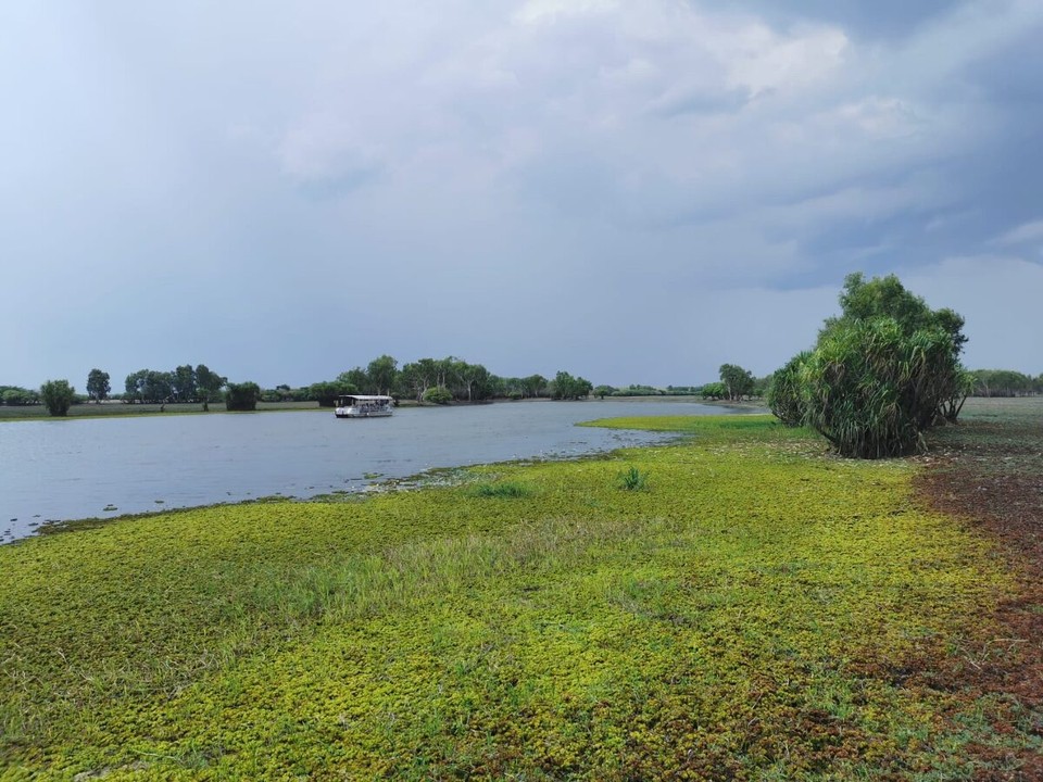 Australien - Kakadu - 