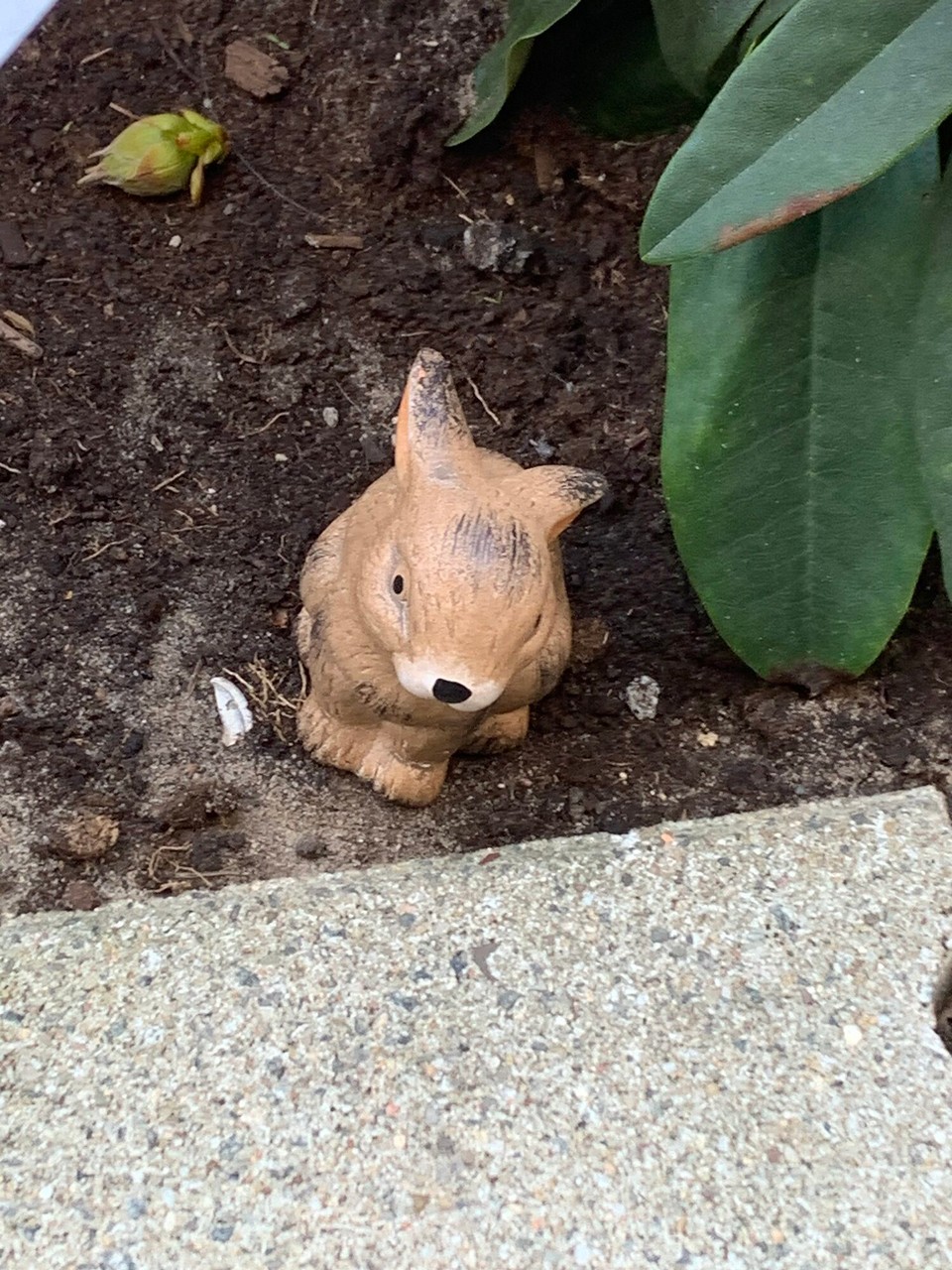 Netherlands - Amsterdam - 