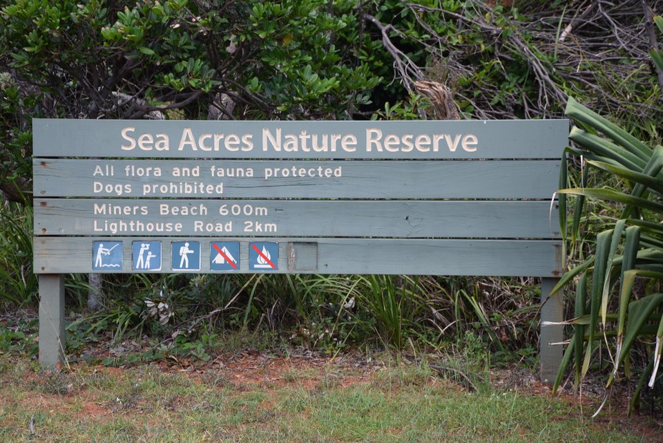 Australien - Port Macquarie - Durch dieses Naturschutzgebiet verläuft ein Teil des Coastal Walk von Port Macquarie, den wir gegangen sind