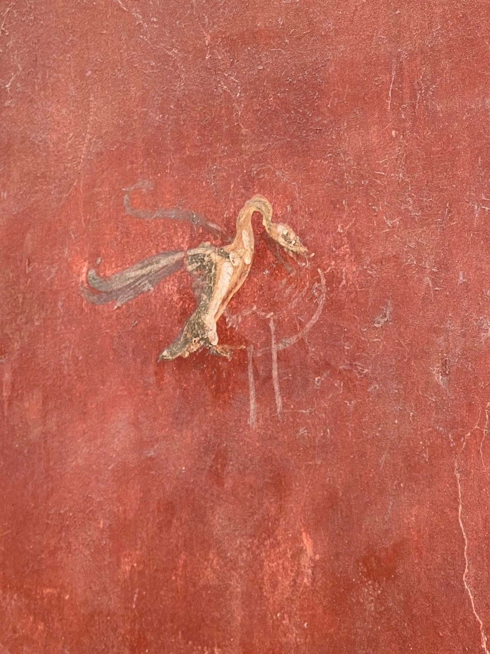 Italien - Pompei - 