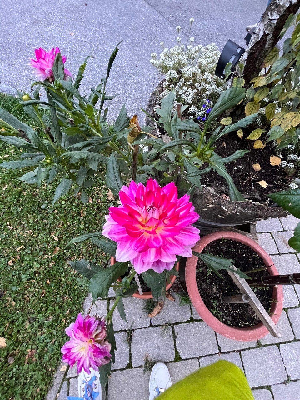 Österreich - Kuchl - 