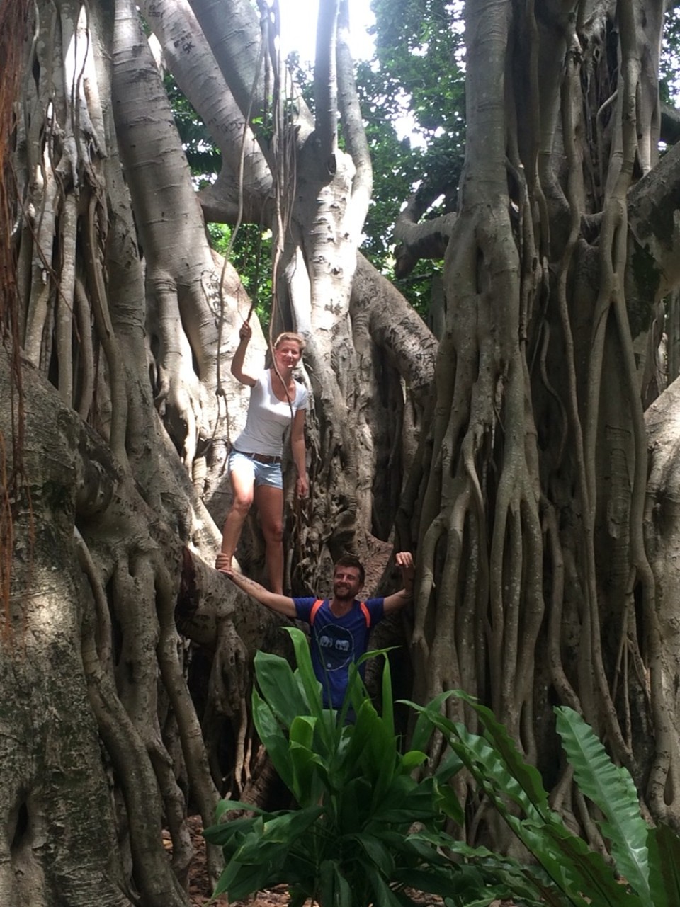 Australien - Beenleigh - Im Botanischen Garten, Brisbane.