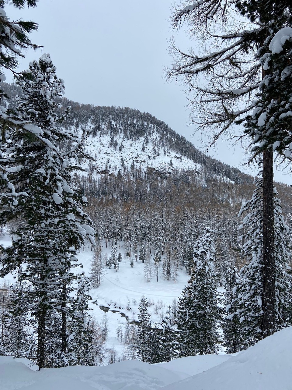 Schweiz - Pontresina - 