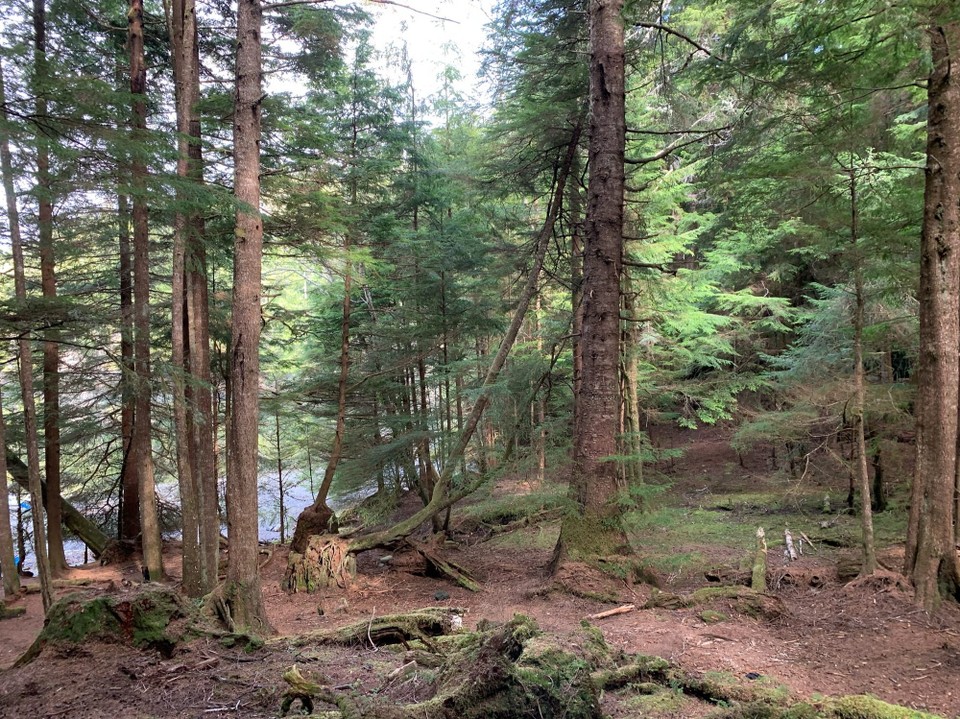 Kanada - Mount Waddington A - 