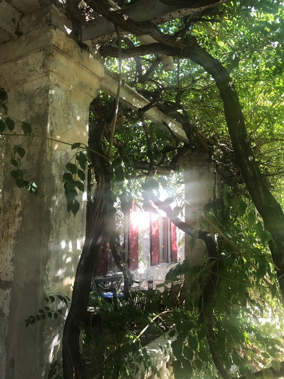 Frankreich - La Gaude - 