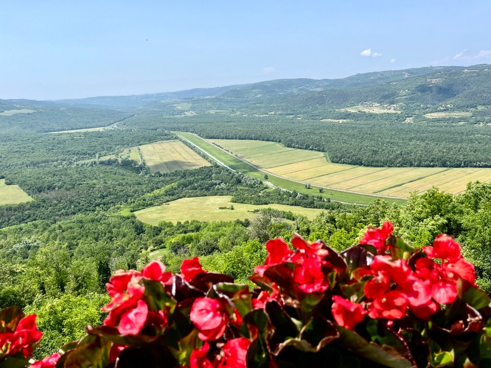 Kroatien - Motovun - 
