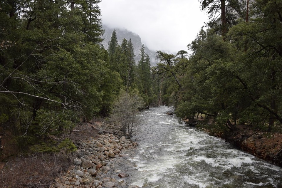 USA - Yosemite-Nationalpark - 