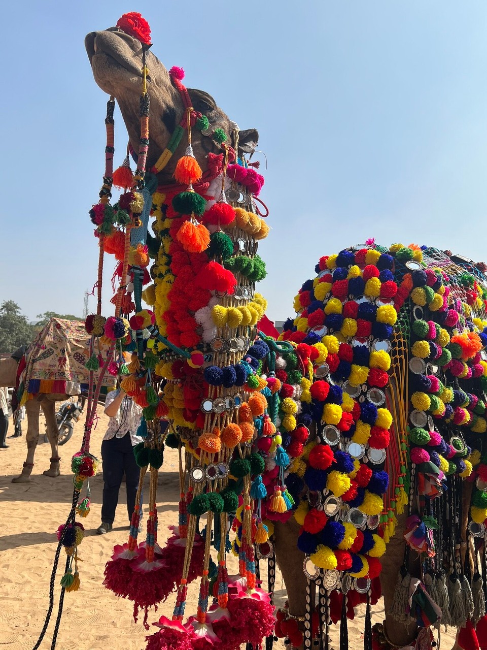 Indien - Pushkar - 