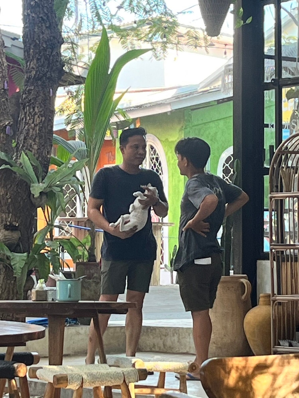 Indonesia - Kabupaten Lombok Barat - This cat looked dead he loved this man 