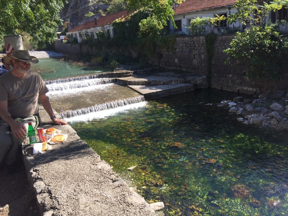  - Montenegro, Kotor - Fish in the stream