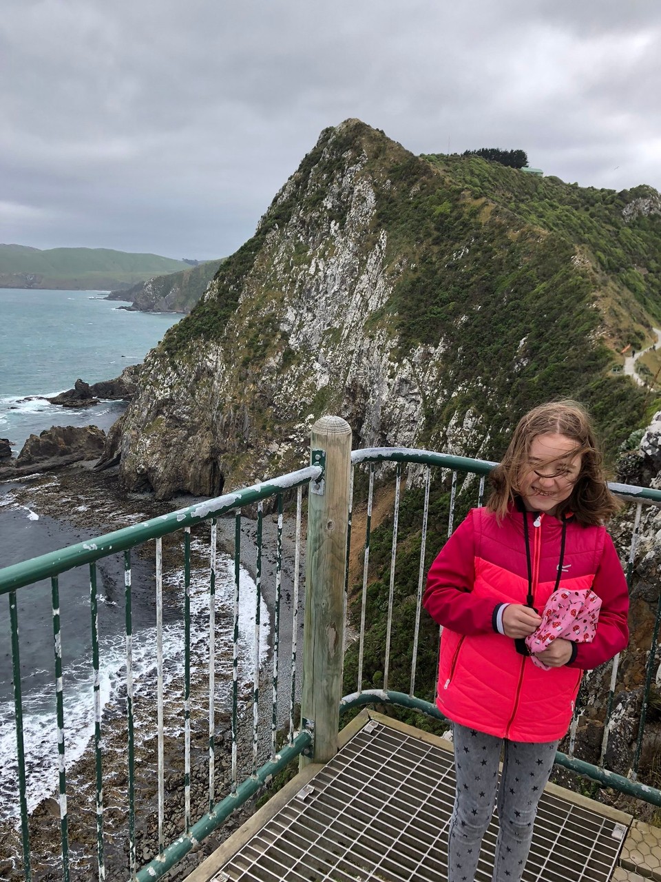 Neuseeland - Ahuriri Flat - Bei den Seelöwen ist auch ein starker Wind 💨 