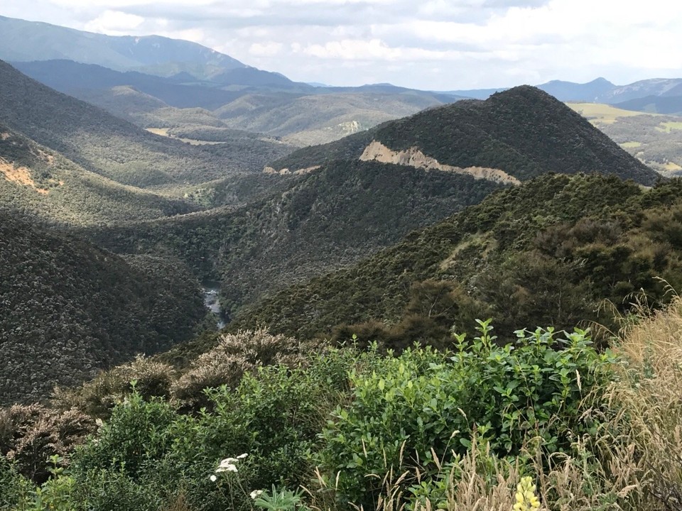 Neuseeland - Clifton - Tiefe Schluchten vom Fluss durchzogen