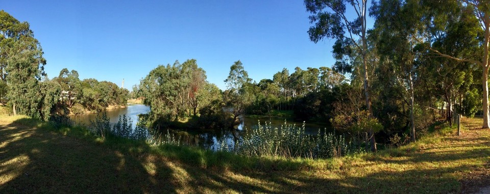 Australia - Sale - Afternoon stroll around Lake Guyatt in Sale. 