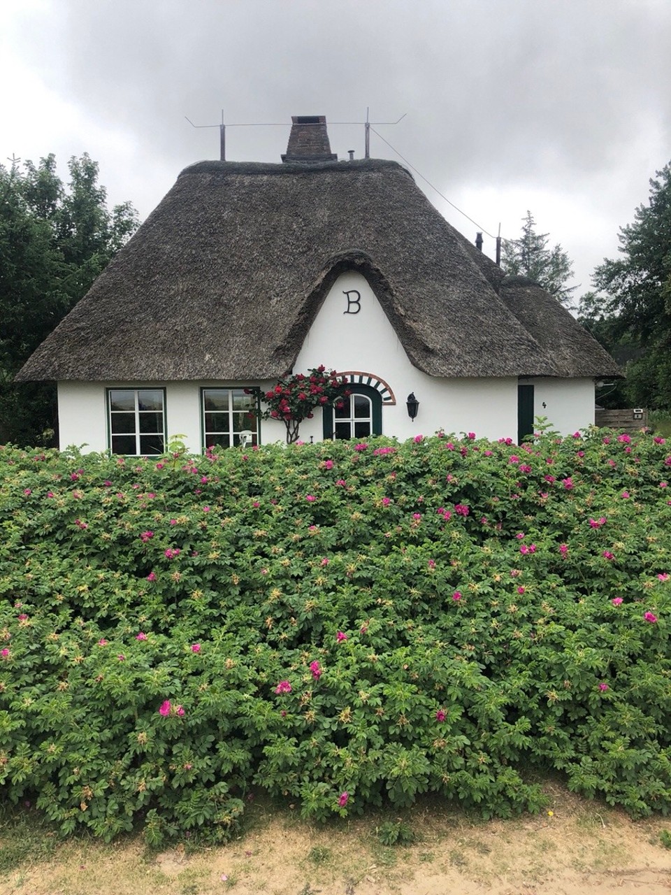 Deutschland - Nebel - Amrum hübsch 