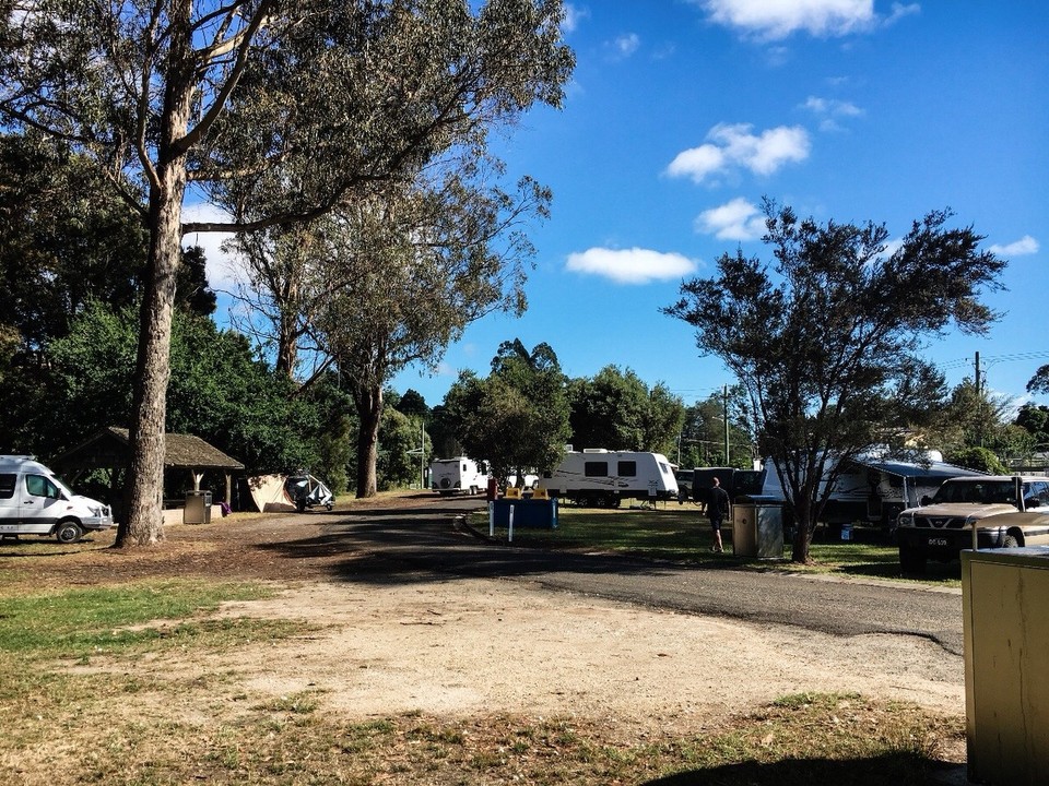 Australien - Scottsdale - Tagesziel: northeast park Campground in Scottsdale 