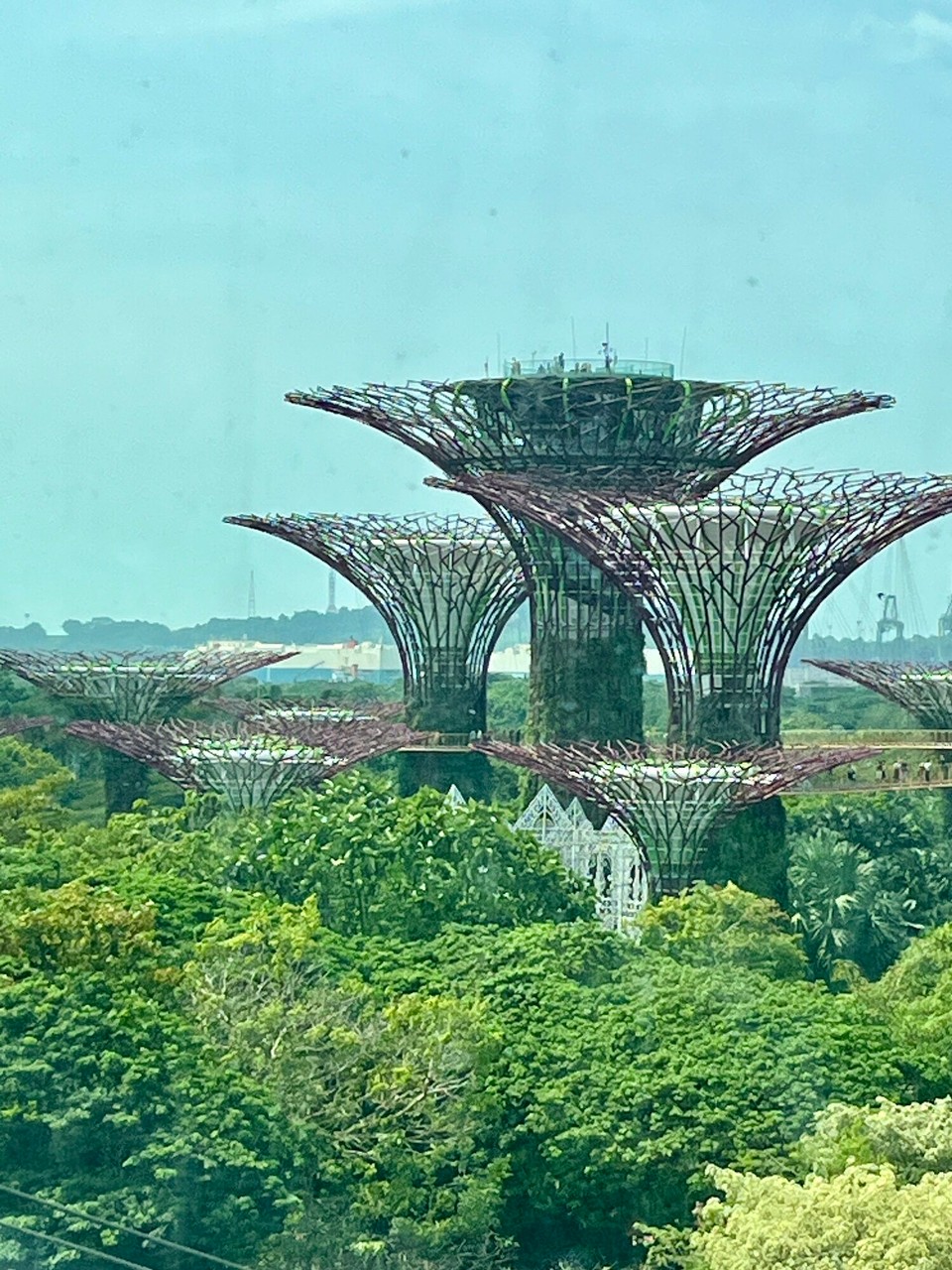 Singapur - Singapur - 