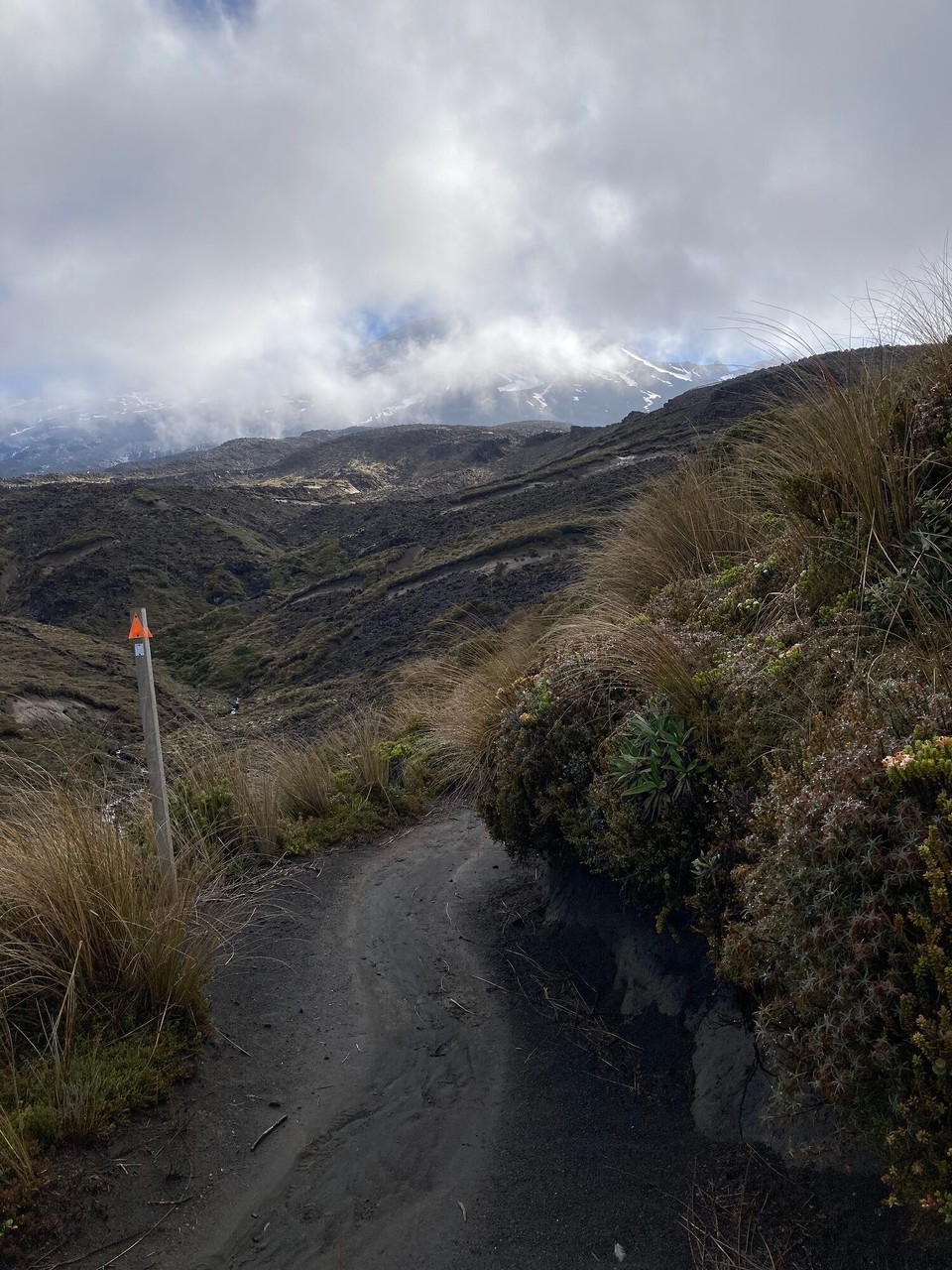 Neuseeland - Tongariro National Park - 