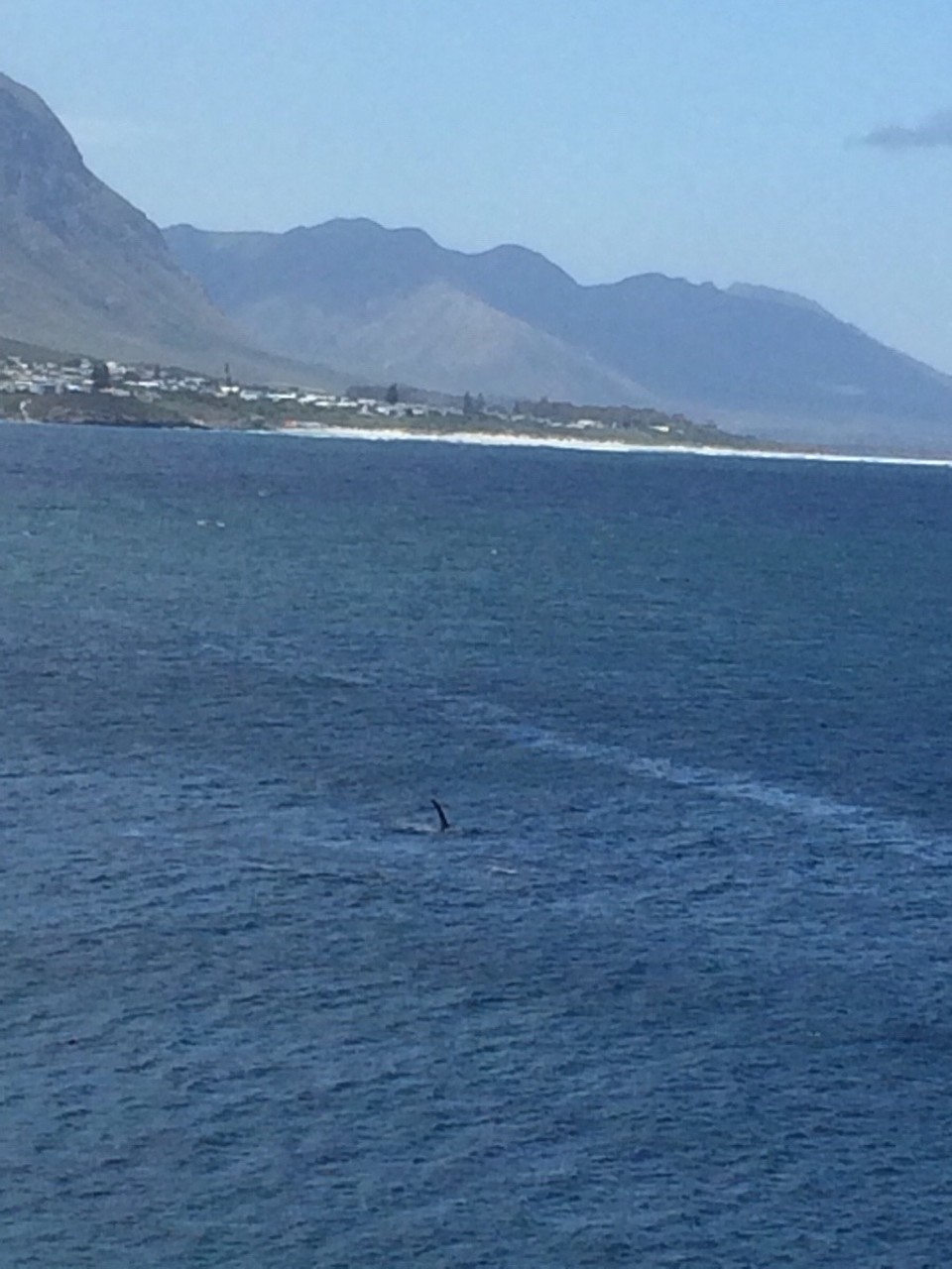 Südafrika - Hermanus - 
