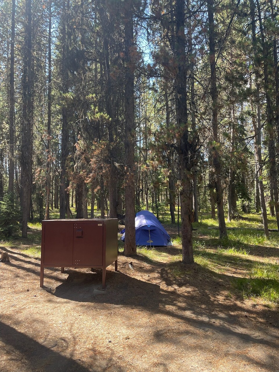 Vereinigte Staaten - Yellowstone National Park - Wo mer ahcho sind hemmer s‘Zelt ufgstellt. Das esch zimlich schnell gange.💪🏽😅
D‘Bärebox hemmer denn au no grad mit üsem ässe gfüllt.🐻 ich ha ehrlichgseid scho rächt grosse Reapekt vo dene.🙈