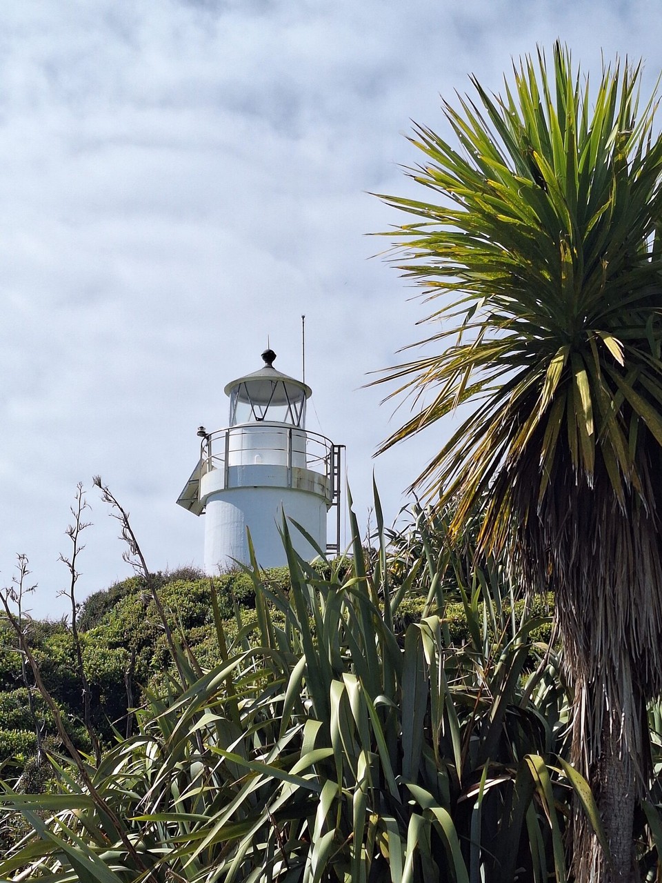 Neuseeland - Cape Foulwind - Leuchtturm bei Cape Foulwind 