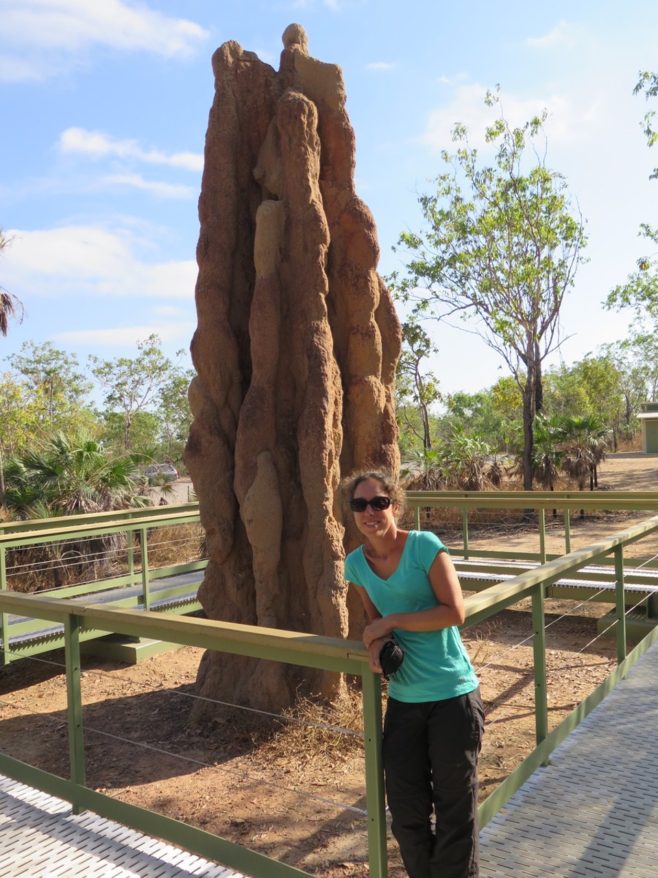 Australia - Litchfield Park - Cathedral termite