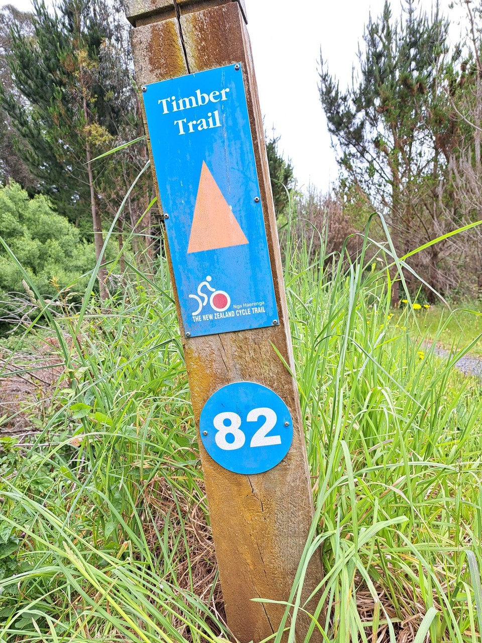Neuseeland - Taumarunui - Ende des Trails 