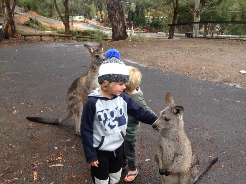 Australia - Burrinjuck - 