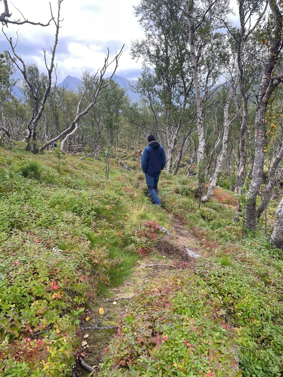 Norwegen - Krokelvdalen - So ein schöner Weg 