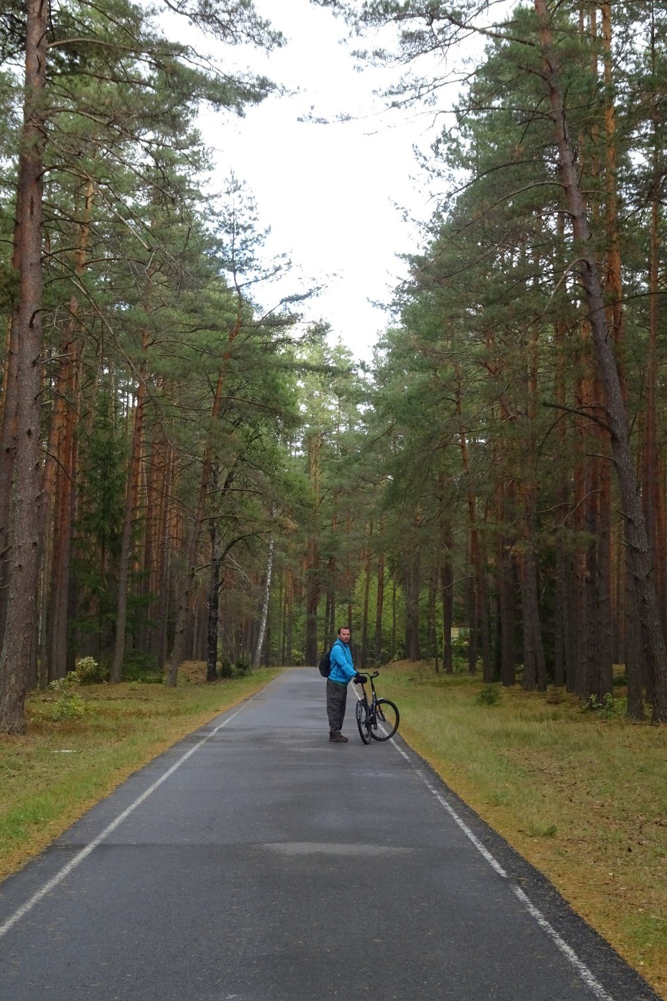 Belarus - Brest - Belovezhskaya Pushcha National Park