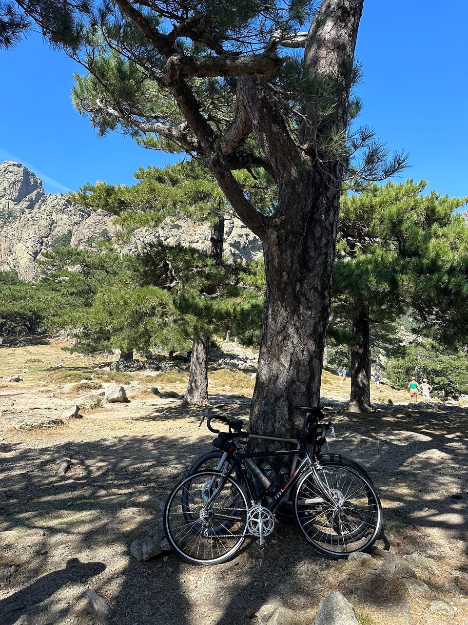 Frankreich - Quenza - 