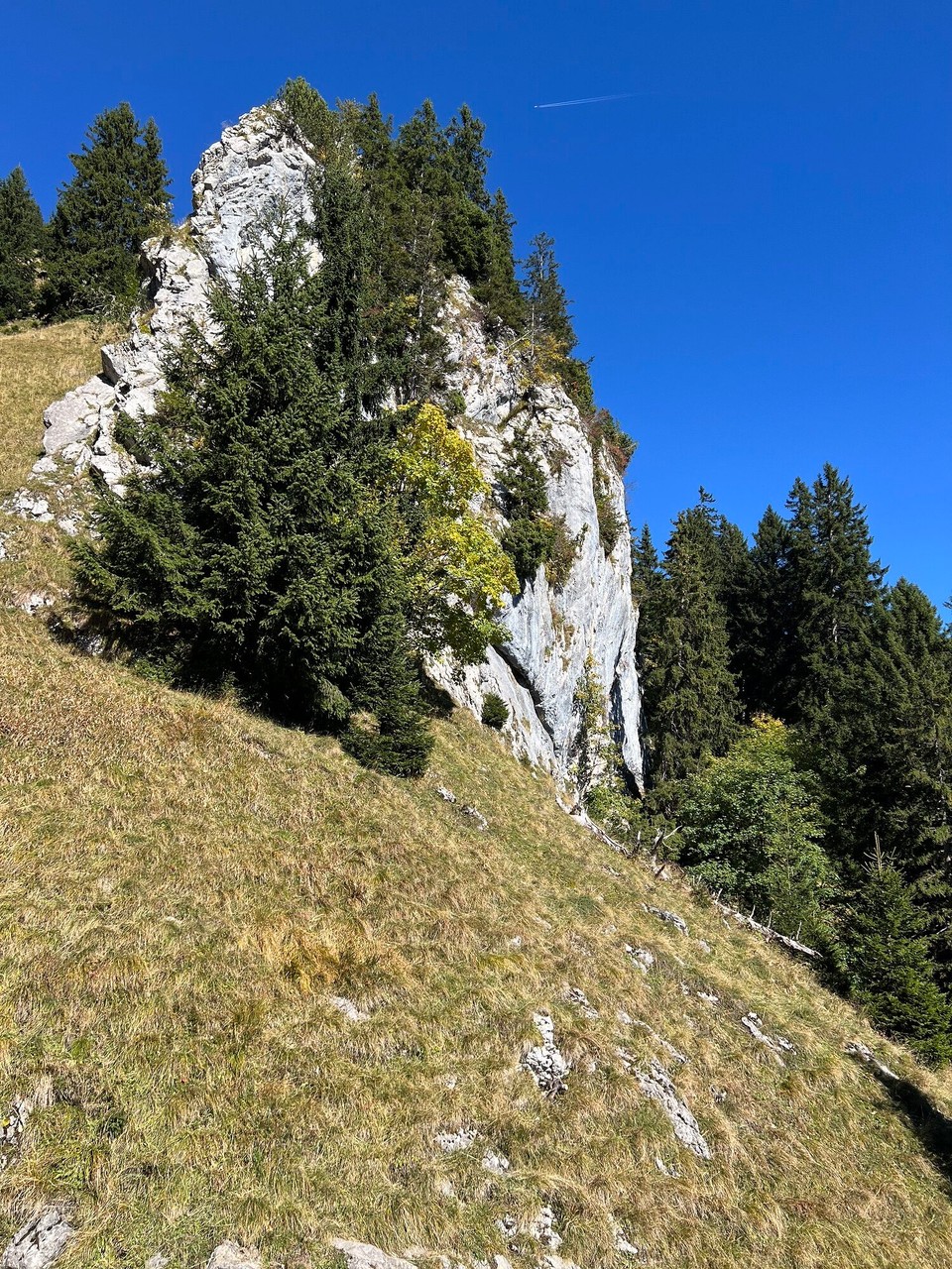 Schweiz - Alpnach Dorf - 