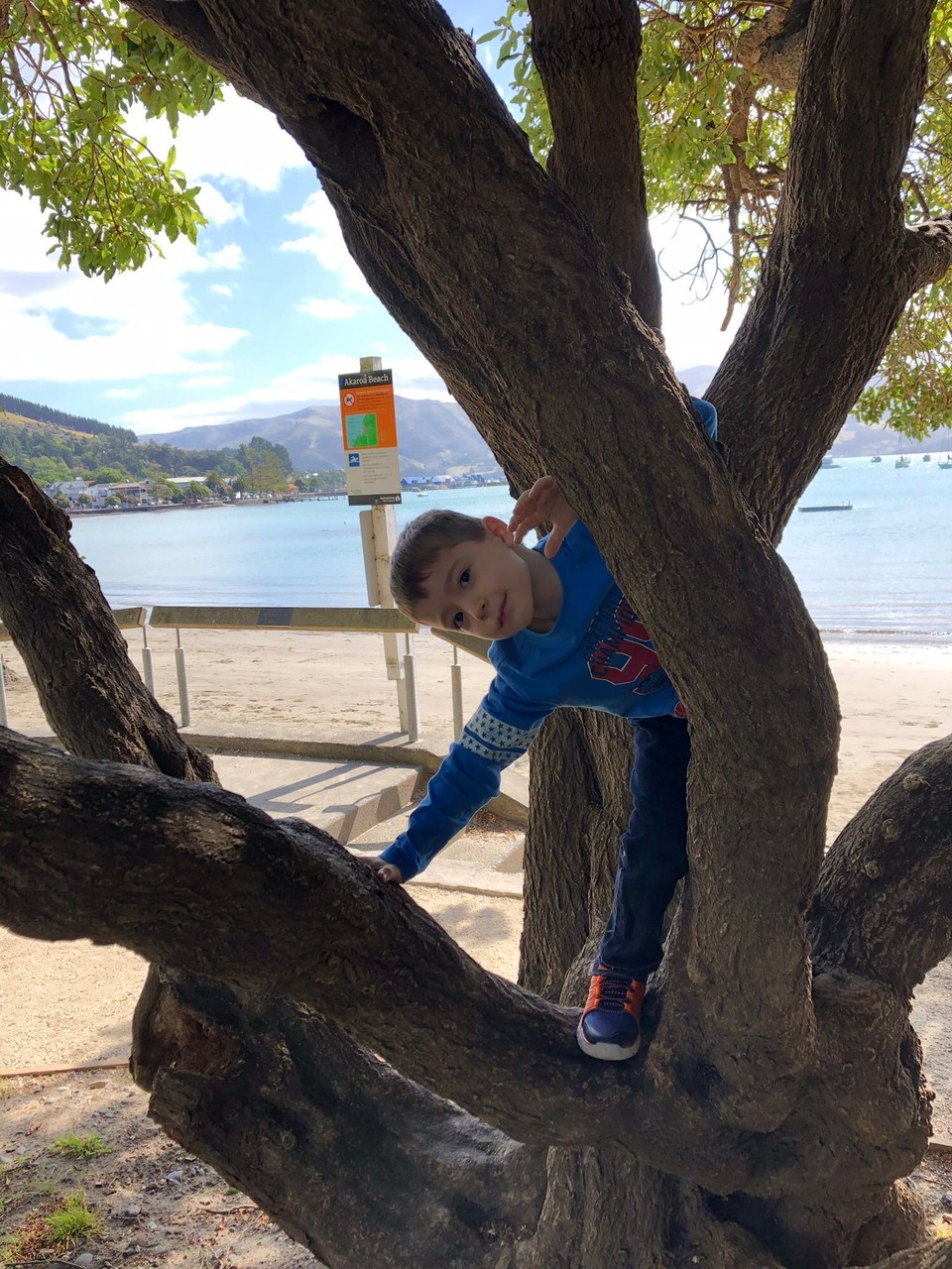 Neuseeland - Akaroa - 