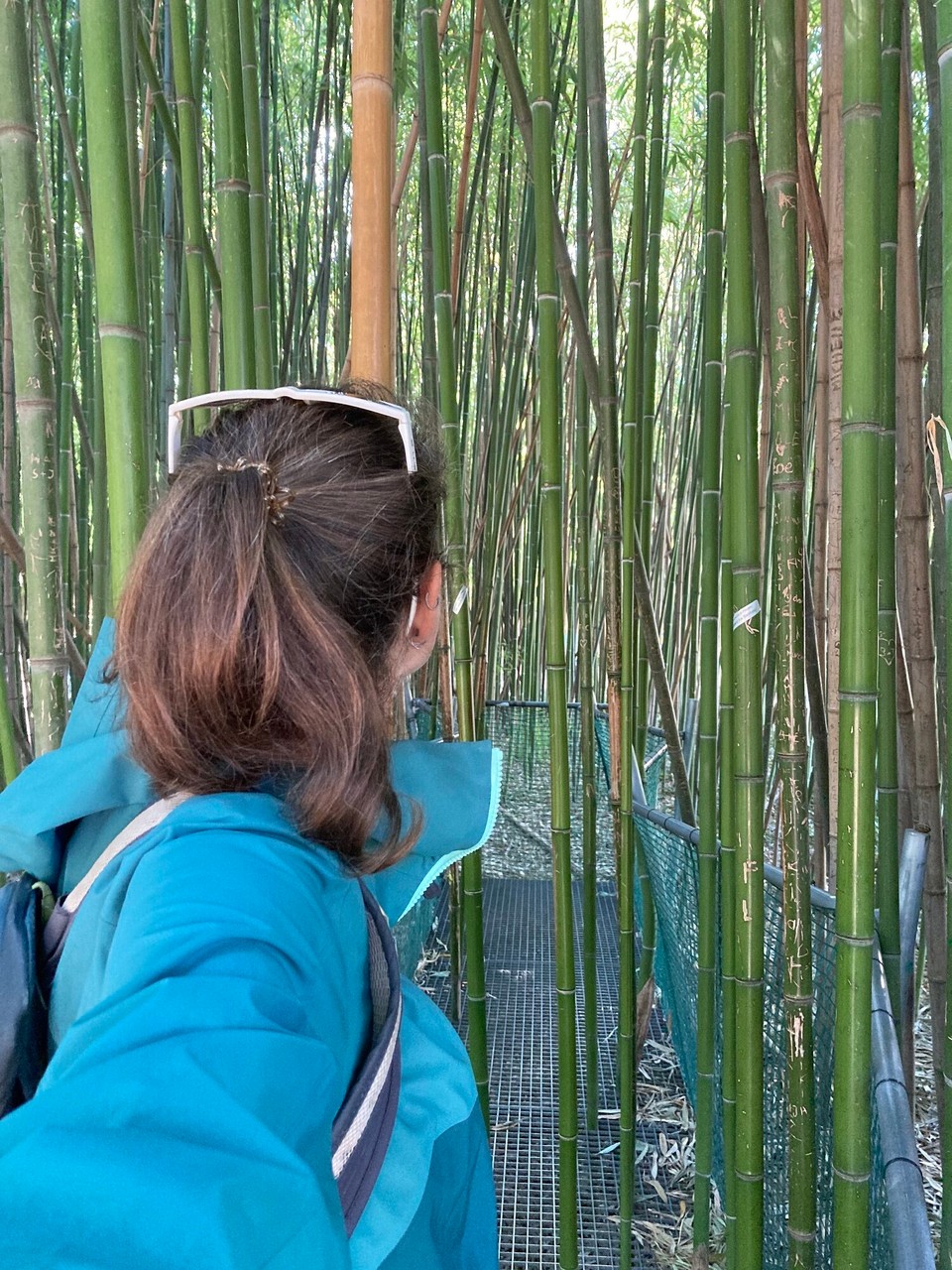 Österreich - Wien - 