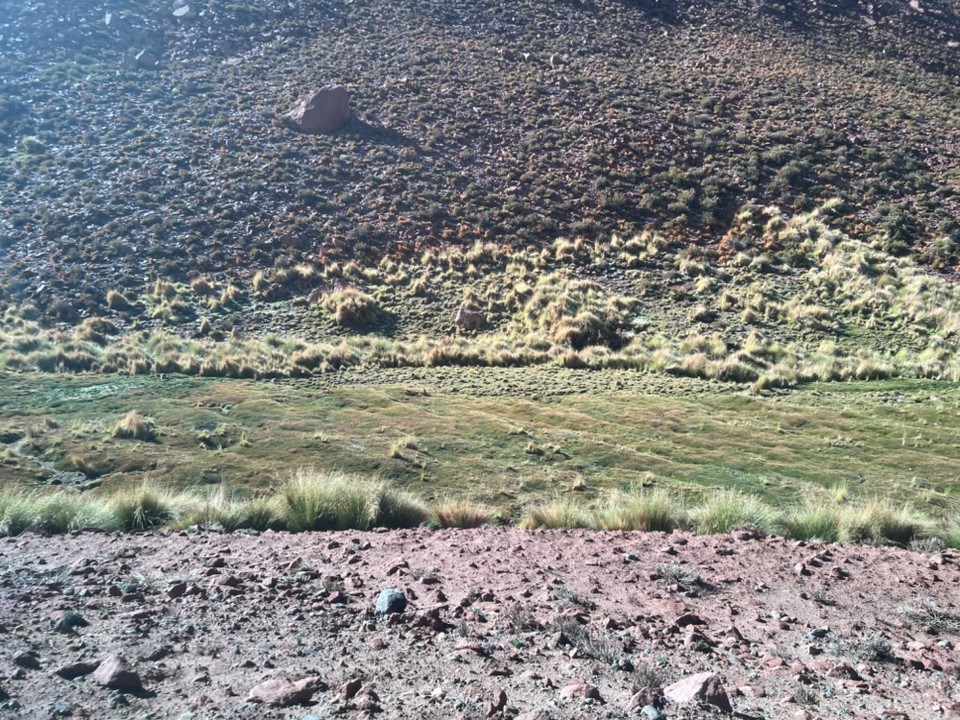 Chile - Atacama Desert - 