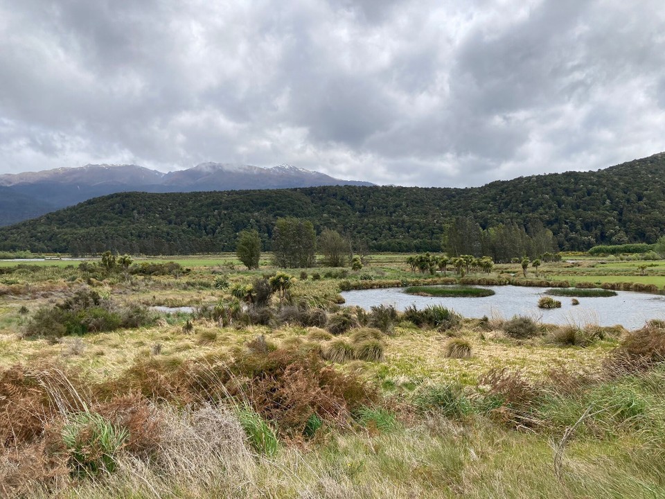 Neuseeland - Manapouri - 