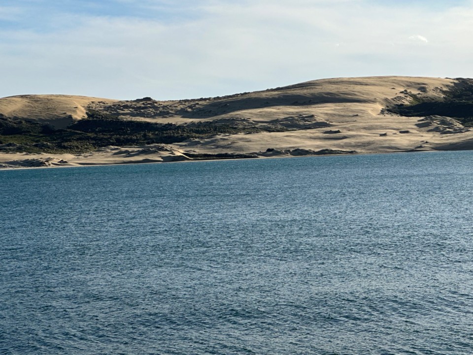 Neuseeland - Waimamaku - Sanddünnen