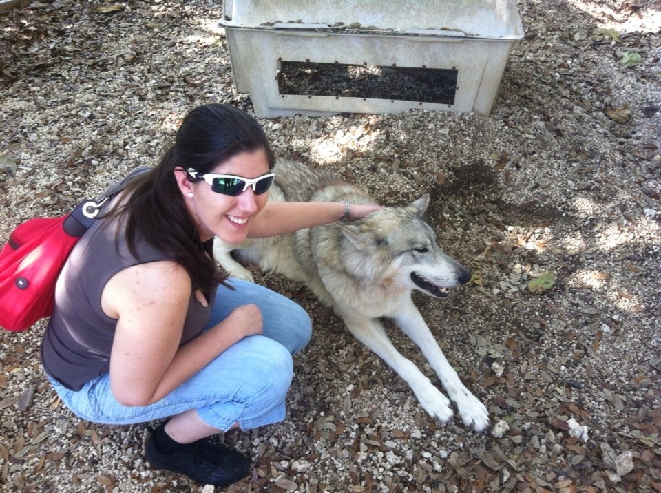 Egyesült Államok - Homestead - 