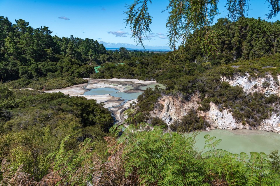 Neuseeland - Rotorua - 