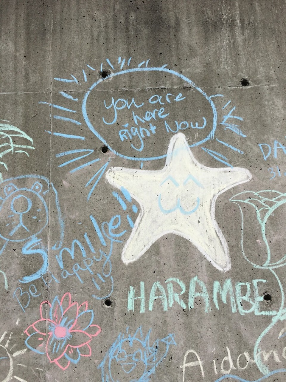 USA - Seattle - genau so ist es 